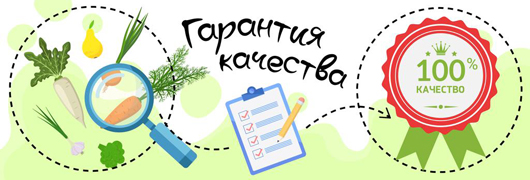 Полеты во сне и наяву